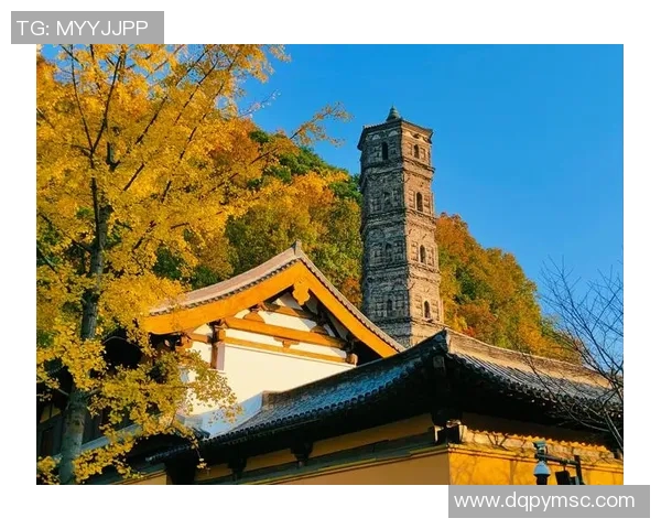 芜湖的由来与文化底蕴探秘：一座承载历史与现代交融的城市